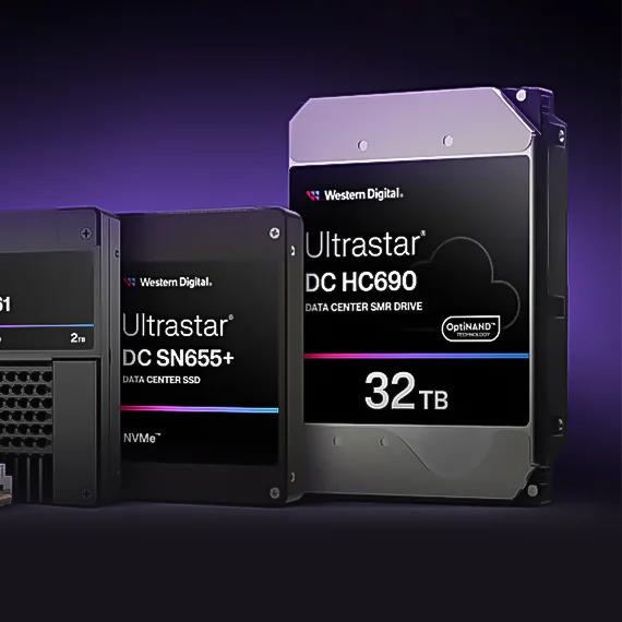 WD surveillance HDD Supplier in Dubai